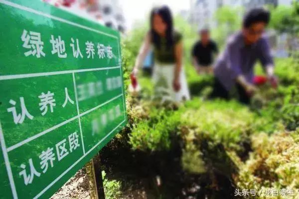 农产品电商定义_农产品电商定制服务_农产品定制化